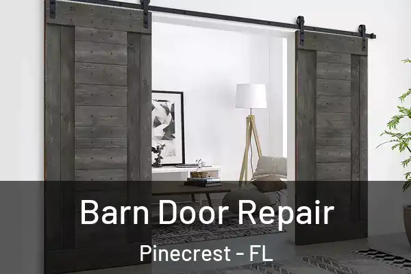  Barn Door Repair Pinecrest - FL