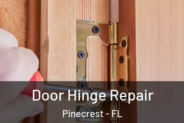 Door Hinge Repair Pinecrest - FL