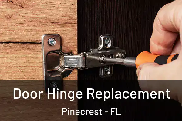 Door Hinge Replacement Pinecrest - FL
