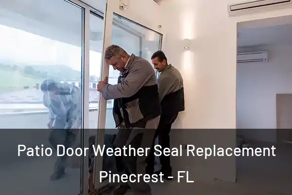 Patio Door Weather Seal Replacement Pinecrest - FL