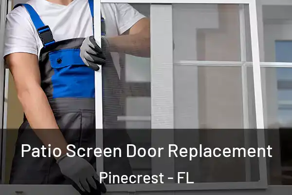Patio Screen Door Replacement Pinecrest - FL