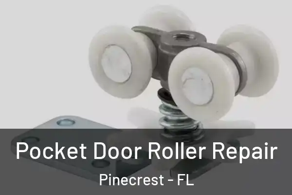  Pocket Door Roller Repair Pinecrest - FL